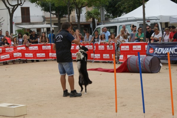La Syra caminant a dues potes...