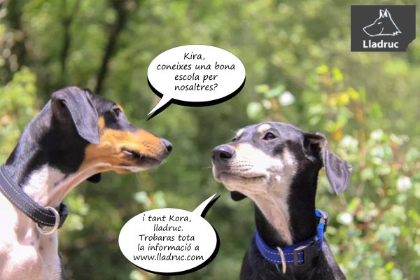 La foto més votada a la nostra pàgina de Facebook!