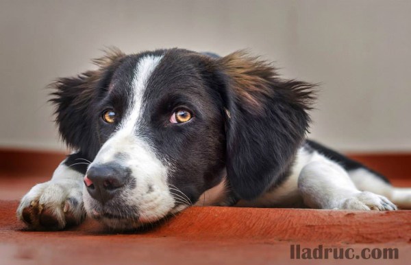 Segona foto més votada a la nostra pàgina de Facebook