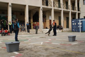 La Fura saltant d'alegria a sobre un voluntari de protecció civil de Sant Feliu de Guíxols després de treballar. La punyetera va ser condecorada i tot amb l'escut oficial! :)
