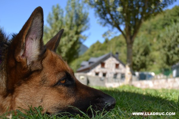Tercera foto més votada a la nostra pàgina de Facebook