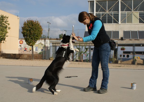 La Syra xocant la pota mentre camina a dues potes, aquesta habilitat va encantar a tots els nens!