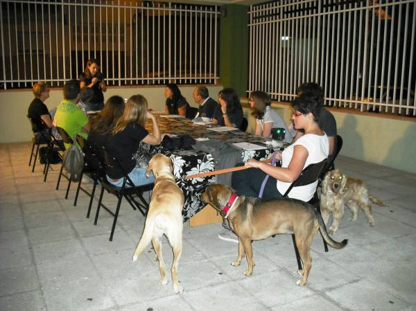 Explicació pràctica sobre com tallar les ungles al nostre gos. El curs el vam fer a sota les voltes del centre cívic Creu de la Mà (Figueres)