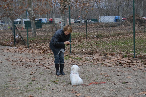 La Trufa practicant l'ordre d'asseguda quedant-se quieta