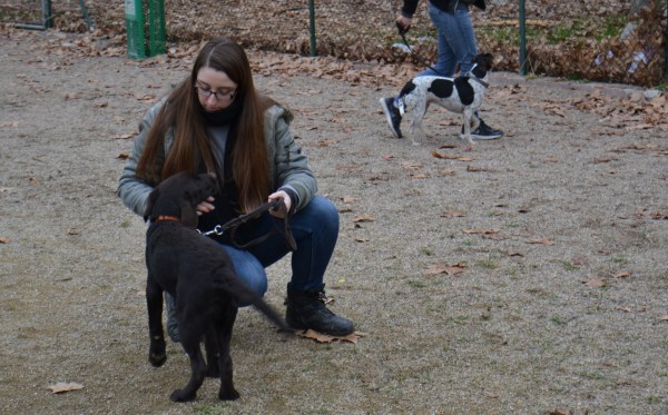 Una tendra imatge de la Lídia i en Sam amb la Gin aprenent a caminar al costat de la seva mestressa sense estirar la corretja