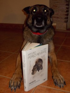 La Cendra "llegint" el llibre de l'Arturo Pérez-Reverte