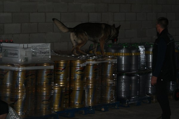 En Yago del Xixón, el gos d'en Paul, en plena acció