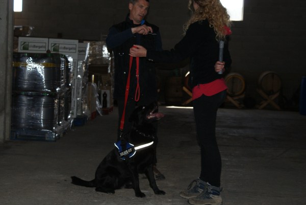 La Trufa, gossa detectora de drogues, ben atenta a la seva mestressa Judit! 