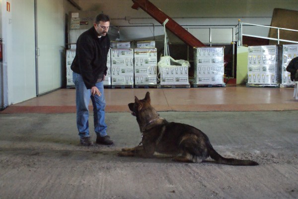 En Paco (de pèl gris) complint l'ordre d'estirat d'en Juan Ramón ;) 