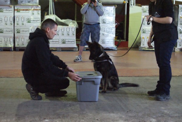 La Mina, gossa detectora d'explosius, millorant la marcació de la substància