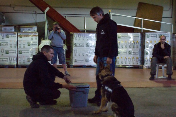 La Burka, gossa detectora d'explosius, millorant la marcació