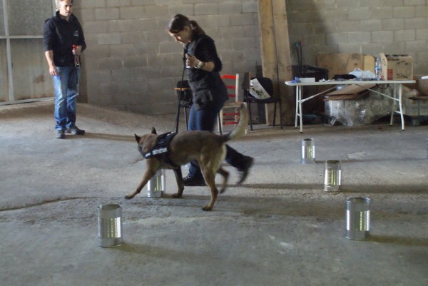 La Cendra fent una recerca... 