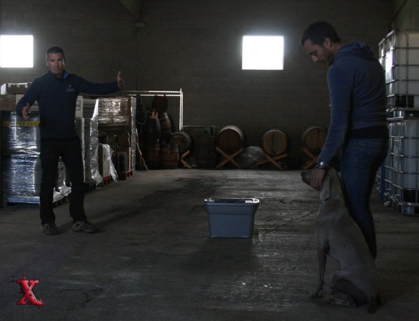 En Max i en Narcís ben atents a les explicacion d'en Paul. Gràcies per la foto Xicu! 