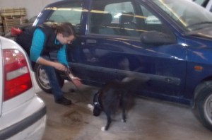 La Syra fent una recerca als baixos d'un vehicle