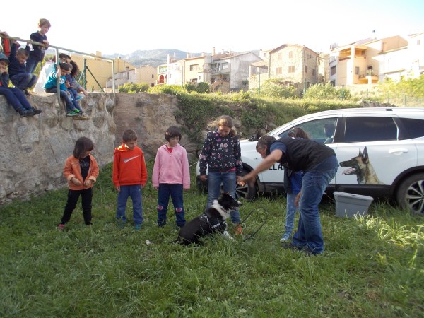 La Syra després de marcar passivament la substància amagada en un dels mitjons dels nens