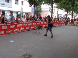 La Fura volant mentre juga amb el mossegador! 