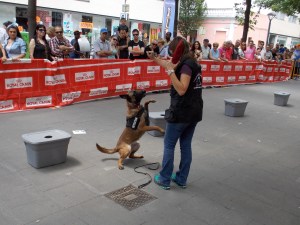 La Cendra saludant al públic de la Fira Animalista de Salt 