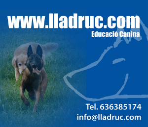 Lladruc
