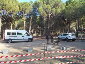 La Cendra amb el mossegador a la boca ben feliç després d'haver localitzat la substància