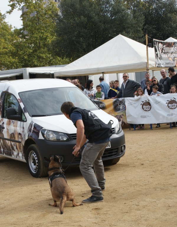 La Cendra segons abans de començar la recerca de la substància amagada en el cotxe