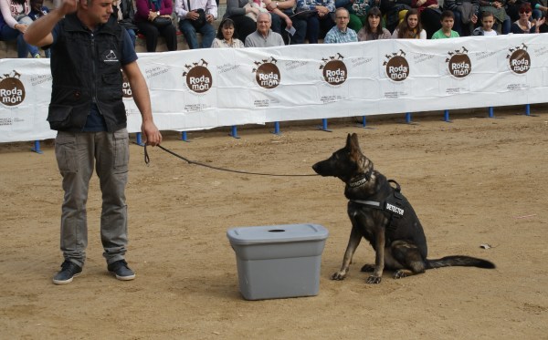 La Mina fent una marcació passiva de la substància amagada en una de les caixes