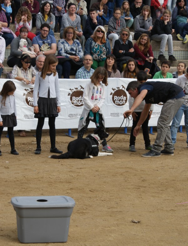 La Syra fent una recerca de la substància amagada en el mitjó d'un dels nens