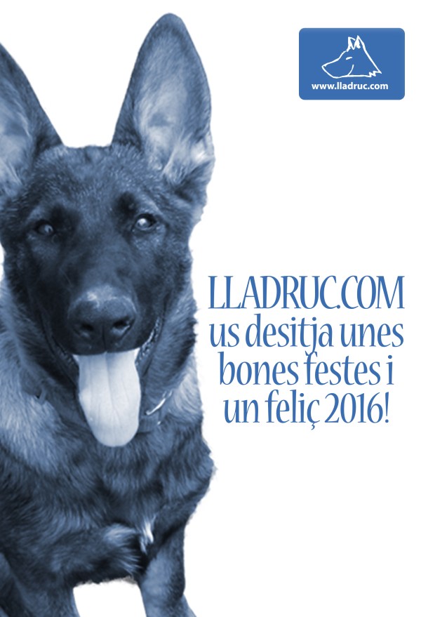 Lladruc_Nadal2016_A5_148x210