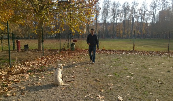 I en Trufo, futur gos detector de trufes de l'Alfons! 