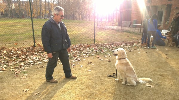 En Vicenç ensenyant a la Perla a estar-se ben quieta