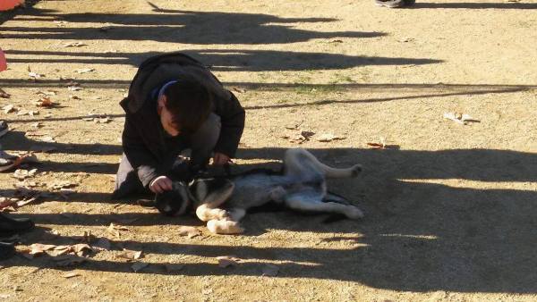 12596921_563919637117874_285159115_o