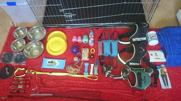 Si aviat tindreu un cadell necessiteu coses com aquestes que us proposem a Lladruc! 