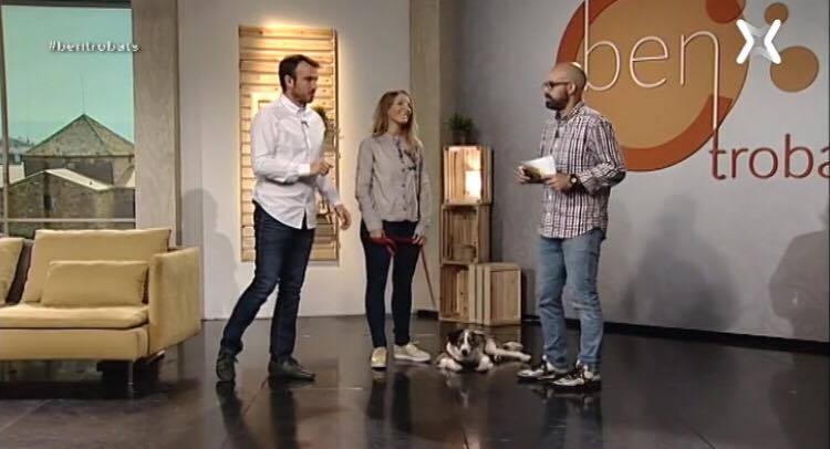 Ana i tet ben trobats