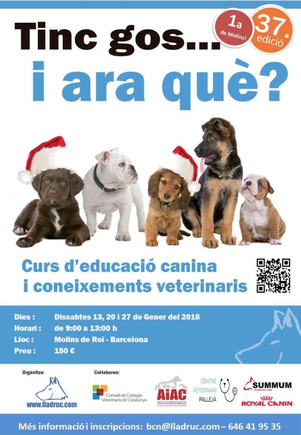 Ed. 37. Gener 2018nadal - Molins.jpg