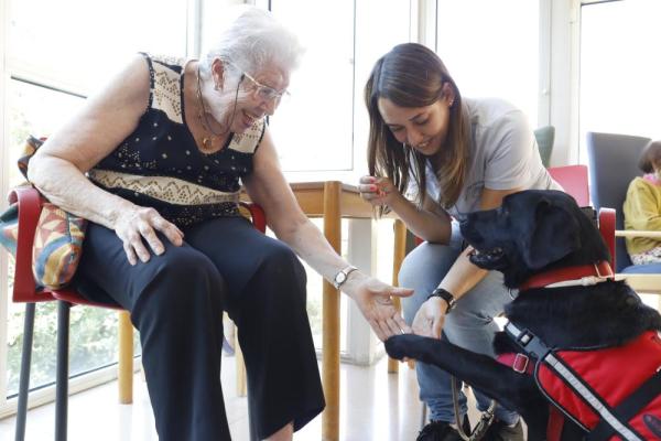 fotospropies20180717232450-2_g