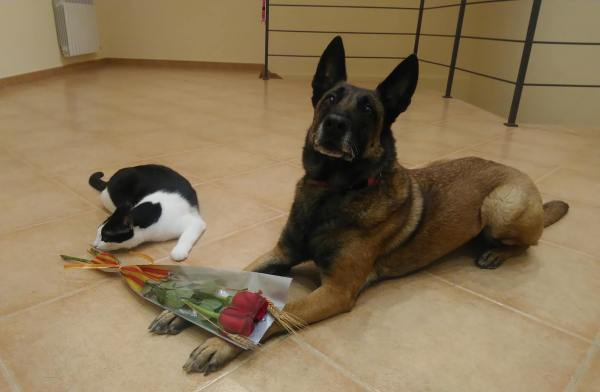 57798712_10155876211346402_3601963860250066944_o