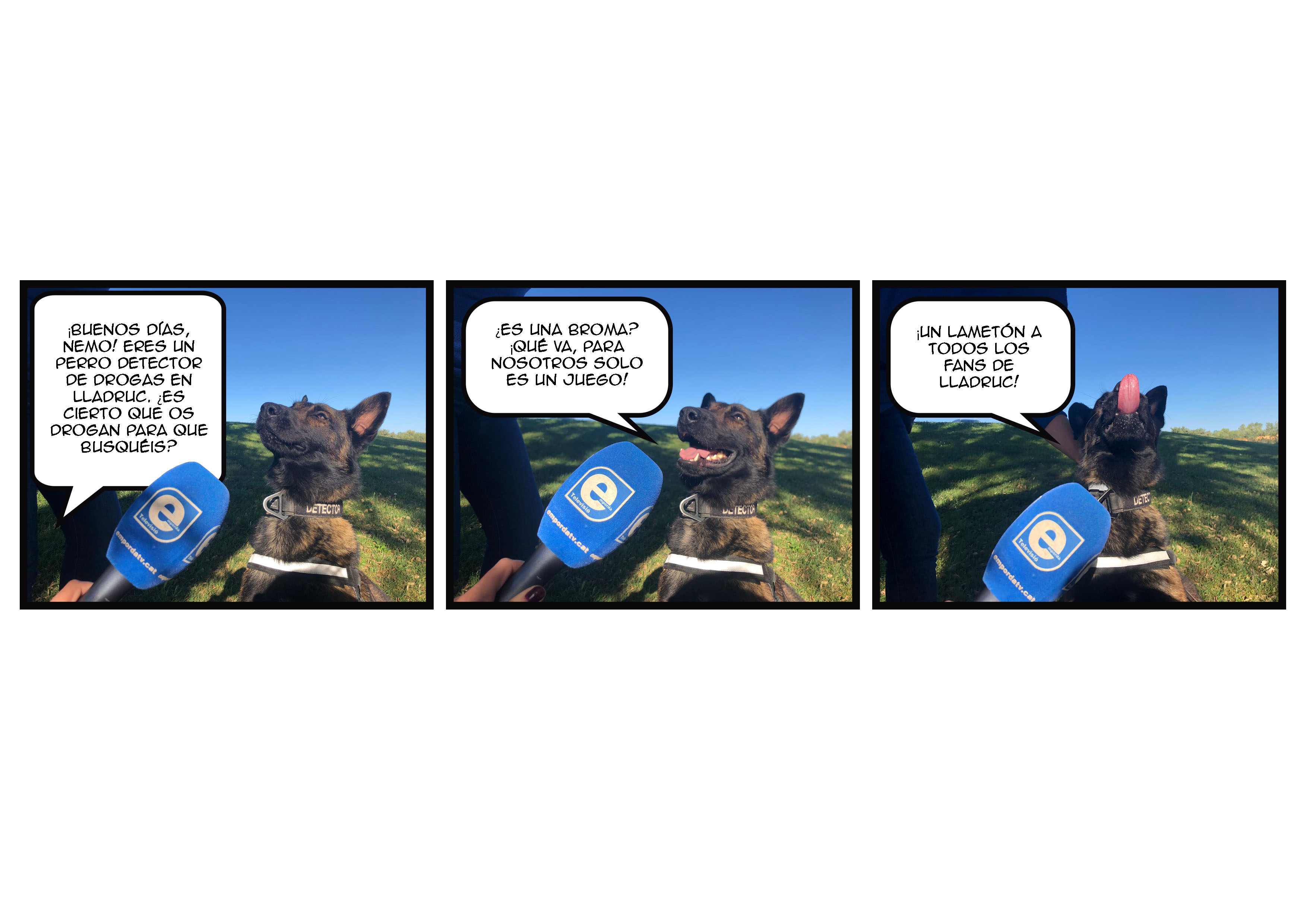 lladruc_comic_LLADRUC_H