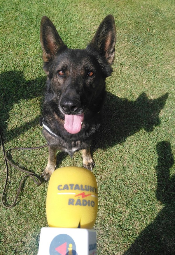 69475887_10156163572406402_6345771809987624960_n