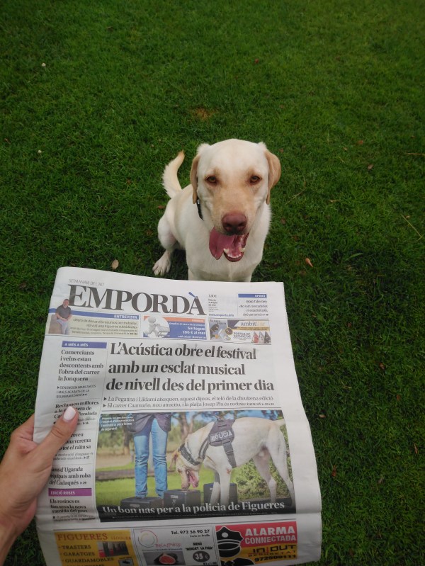 34,34,179,203.629456