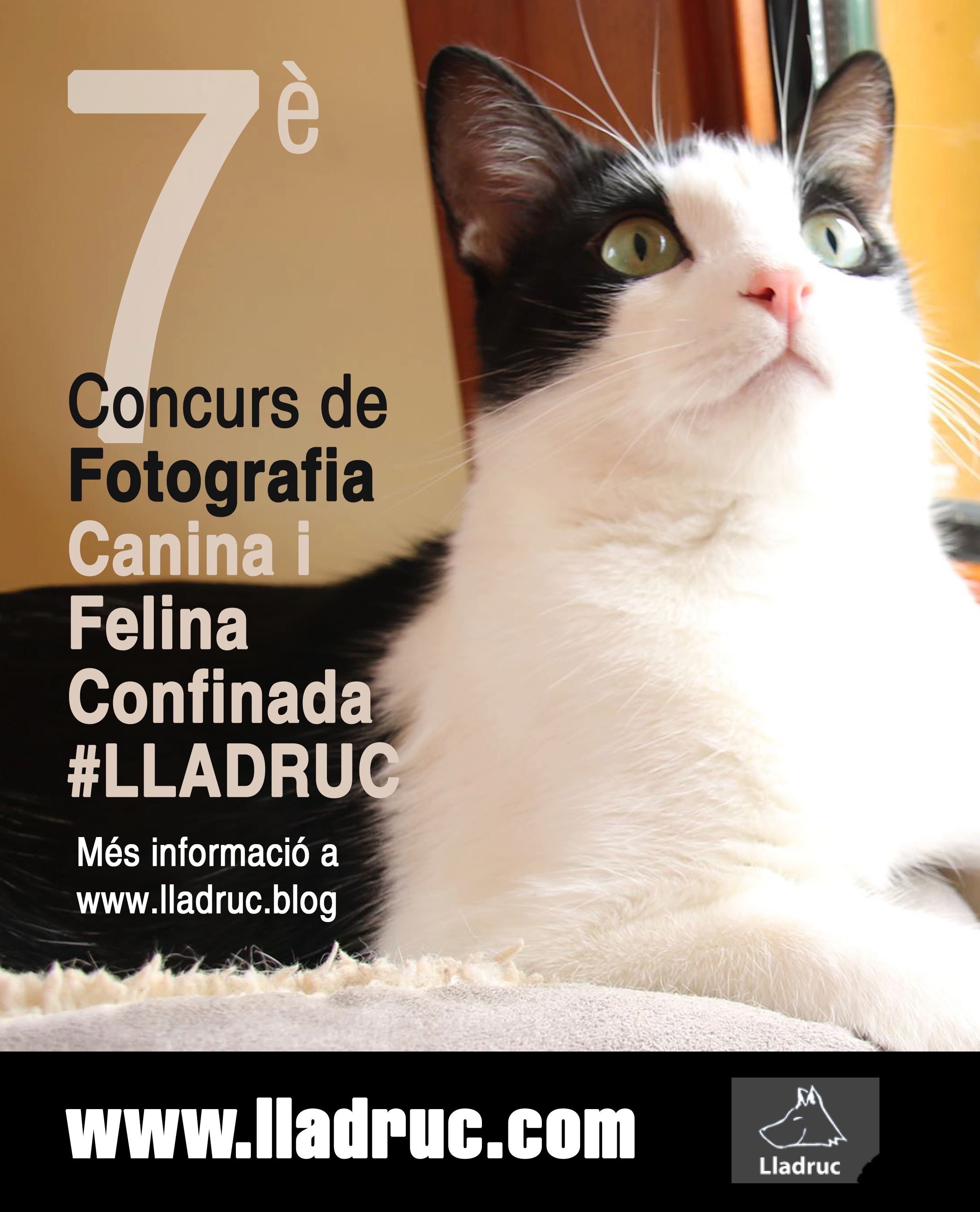 91626990_2611699962452936_3198857922272559104_n